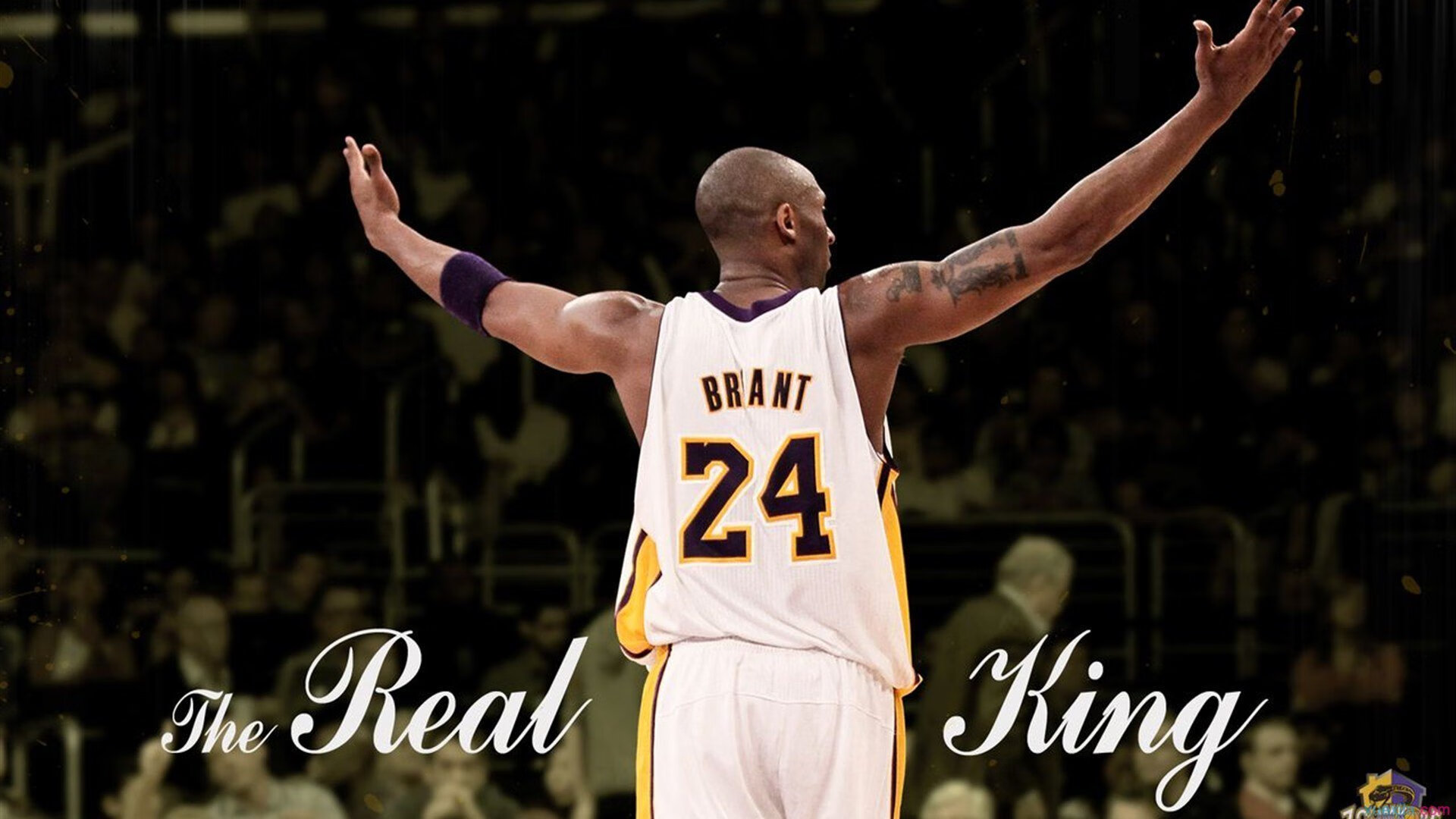 开云网页版-马赛终结苏格兰，伊布完美演绎上帝归来